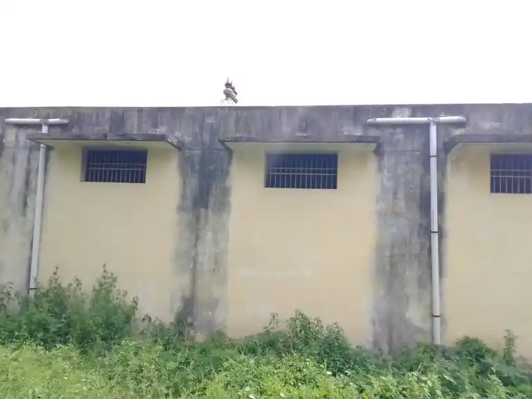 Arulmigu Venugopalasamy Temple, Lingarettipalayampanruti, Panruti - 607106 அருள்மிகு வேணுகோபாலசாமி திருக்கோயில், Lingarettipalayampanruti, Panruti - 607106, Cuddalore - Ancient Temple Architecture and History Image 3