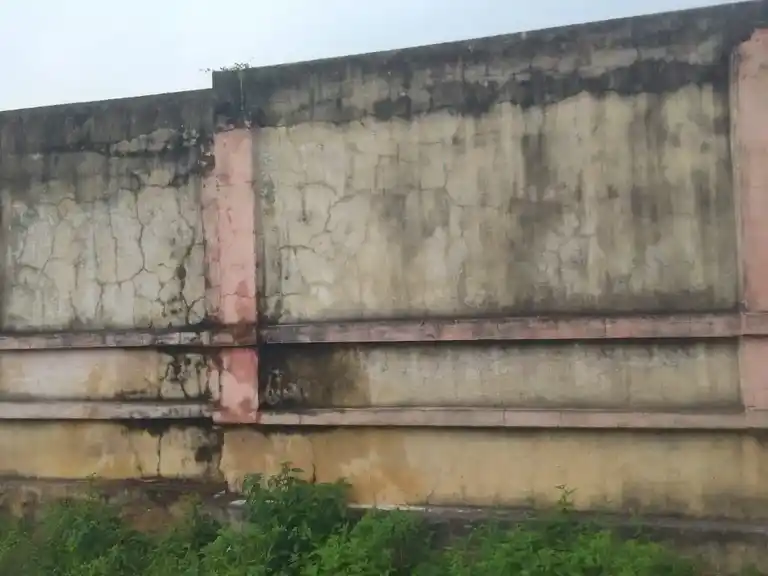 Arulmigu Venugopalasamy Temple, Near Street, Pallavada - 601201 அருள்மிகு வேணுகோபாலசுவாமி திருக்கோயில், Near Street, Pallavada - 601201, Tiruvallur - Ancient Temple Architecture and History Image 4