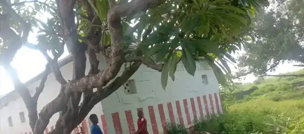 Arulmigu Venugopalasamy Temple, Post Office Opp, Veeranathur - 631303 அருள்மிகு வேணுகோபாலசுவாமி திருக்கோயில், Post Office Opp, Veeranathur - 631303, Tiruvallur - Ancient Temple Architecture and History Image 3