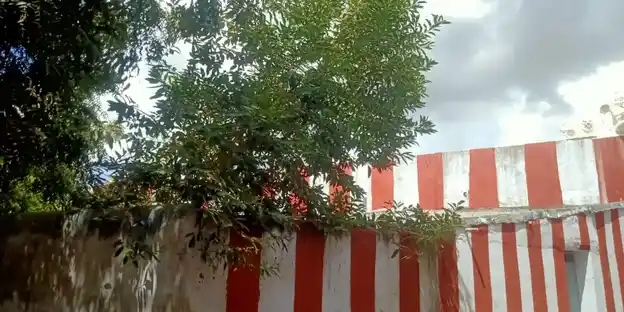 Arulmigu Venugopalasamy Temple, Street End, Keela Natham - 627353 அருள்மிகு வேணுகோபாலசுவாமி திருக்கோயில், Street End, Keela Natham - 627353, Tirunelveli - Ancient Temple Architecture and History Image 2