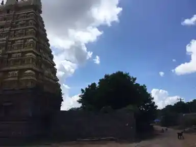Arulmigu Venugopalasamy Temple, Vengadampettai - 607302 அருள்மிகு வேணுகோபாலசாமி திருக்கோயில், வெங்கடம்பேட்டை - 607302, Cuddalore - Ancient Temple Architecture and History Image 6