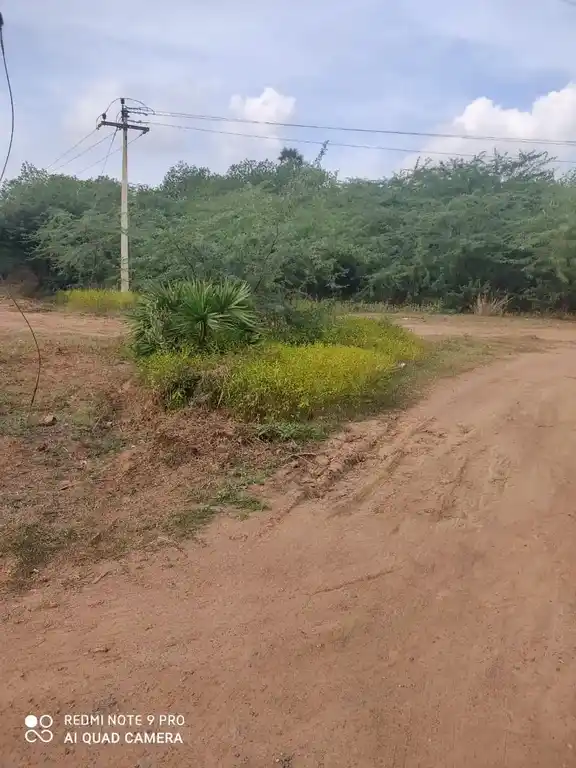 Arulmigu Venugopalaswamy Temple, Anikurichan - 621803 Temple