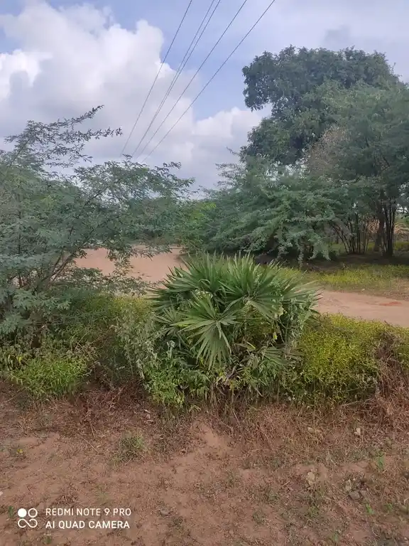 Arulmigu Venugopalaswamy Temple, Anikurichan - 621803 அருள்மிகு வேணுகோபாலசாமி பஜனைமடம், Anikurichan - 621803, Ariyalur - Ancient Temple Architecture and History Image 2