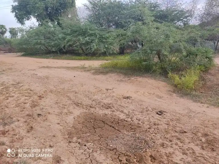 Arulmigu Venugopalaswamy Temple, Anikurichan - 621803 அருள்மிகு வேணுகோபாலசாமி பஜனைமடம், Anikurichan - 621803, Ariyalur - Ancient Temple Architecture and History Image 3