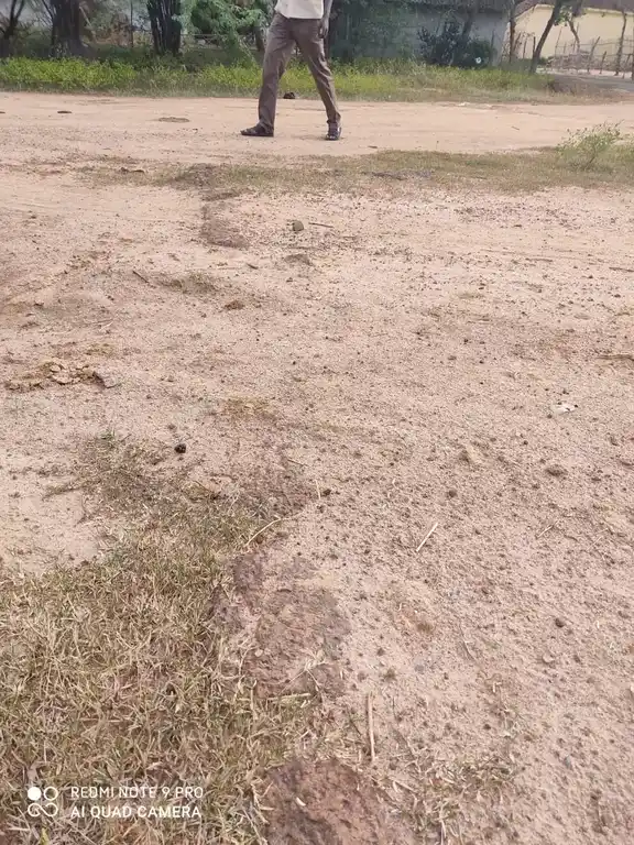 Arulmigu Venugopalaswamy Temple, Anikurichan - 621803 அருள்மிகு வேணுகோபாலசாமி பஜனைமடம், Anikurichan - 621803, Ariyalur - Ancient Temple Architecture and History Image 4