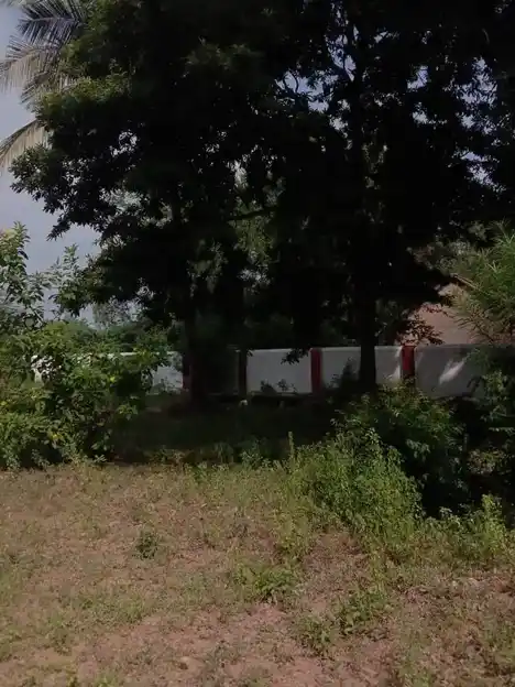 Arulmigu Venugopalaswamy Temple, Kasthambadi - 606803 அருள்மிகு வேணுகோபாலசுவாமி திருக்கோயில், Kasthambadi - 606803, Tiruvannamalai - Ancient Temple Architecture and History Image 4