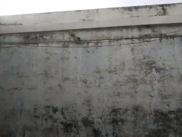 Arulmigu Venugopalaswamy Temple, Paiyur - 632301 Arulmigu Venugopalaswamy Temple, Paiyur - 632301, Tiruvannamalai - Ancient Temple Architecture and History Image 3