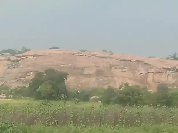 Arulmigu Venugopalaswamy Temple, R.Kombai - 624706