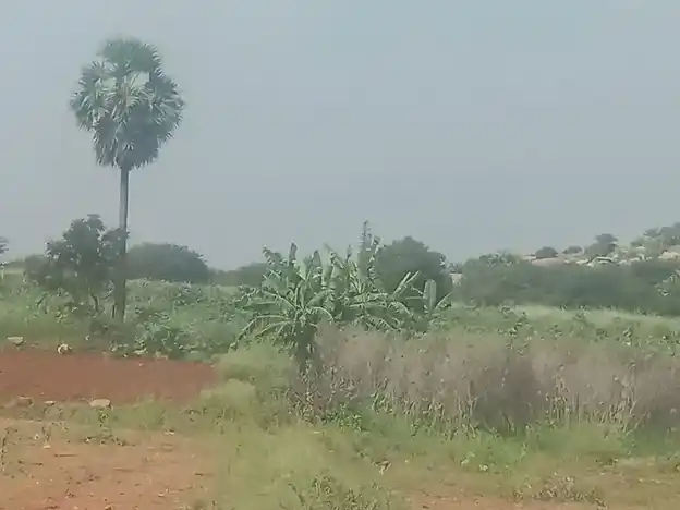 Arulmigu Venugopalaswamy Temple, R.Kombai - 624706 அருள்மிகு வேணுகோபாலசாமி திருக்கோயில், R.Kombai - 624706, Dindigul - Ancient Temple Architecture and History Image 3