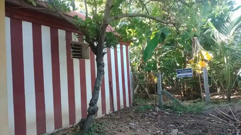 Arulmigu Venugopalaswamy Temple, Thillayambur, Thillayambur - 612804 அருள்மிகு வேணுகோபால சுவாமி திருக்கோயில், தில்லையம்பூர், Thillayambur - 612804, Thanjavur - Ancient Temple Architecture and History Image 4