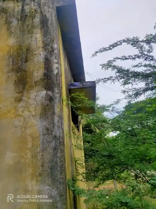 Arulmigu Venugopalaswamy Temple, Vetchiyur - 608302 அருள்மிகு வேணுகோபாலசுவாமி திருக்கோயில், Vetchiyur - 608302, Cuddalore - Ancient Temple Architecture and History Image 5