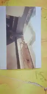 Arulmigu Venukana Lola Periyalwar Sabai, Triplicane, Chennai - 600005 அருள்மிகு வேணுகாண லோல பெரியாழ்வார் சபை, வெங்கட்ரங்கன் தெரு, சென்னை - 600005, Chennai - Ancient Temple Architecture and History Image 4