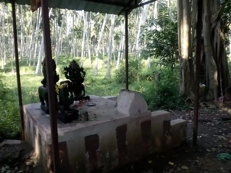 Arulmigu Vepillai Natchiyar Temple, Ayyampalayam - 624204 Arulmigu Vepillai Natchiyar Temple, Ayyampalayam - 624204, Dindigul - Ancient Temple Architecture and History Image 2