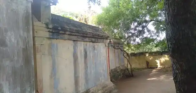 Arulmigu Veppangatu Iyyanar Temple, Kottagam - 607802 அருள்மிகு வேப்பங்காட்டு அய்யனார் திருக்கோயில், கோட்டகம் - 607802, Cuddalore - Ancient Temple Architecture and History Image 2