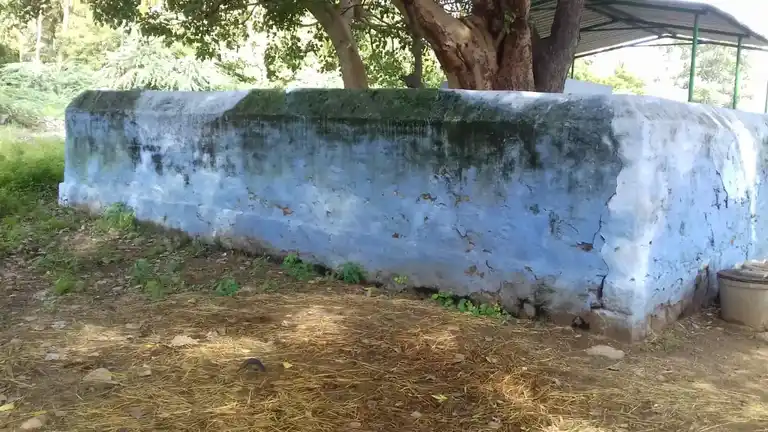 Arulmigu Verayiamman Temple, Alankiyam - 644693 அருள்மிகு வீராயி அம்மன் திருக்கோயில், Alankiyam - 644693, Tiruppur - Ancient Temple Architecture and History Image 4