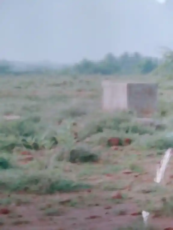 Arulmigu Veriyappa Nayakan Patti Kadhir Narasinga Perumal Temple, Veriyappanayakanpatty - 624202 Temple