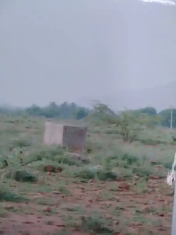 Arulmigu Veriyappa Nayakan Patti Kadhir Narasinga Perumal Temple, Veriyappanayakanpatty - 624202 Arulmigu Veriyappa Nayakan Patti Kadhir Narasinga Perumal Temple, Veriyappanayakanpatty - 624202, Dindigul - Ancient Temple Architecture and History Image 2