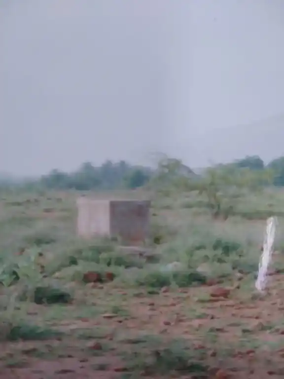 Arulmigu Veriyappa Nayakan Patti Kadhir Narasinga Perumal Temple, Veriyappanayakanpatty - 624202 Arulmigu Veriyappa Nayakan Patti Kadhir Narasinga Perumal Temple, Veriyappanayakanpatty - 624202, Dindigul - Ancient Temple Architecture and History Image 4