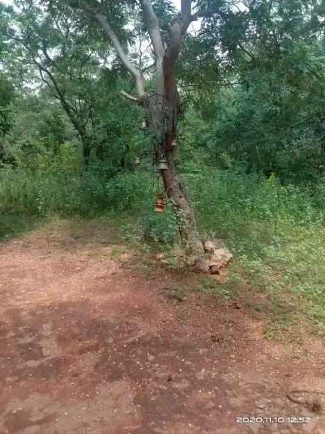 Arulmigu Vetaikara Swamy Temple, Vellampatty - 624617 அருள்மிகு வேட்டைக்காரசுவாமி திருக்கோவில், Vellampatty - 624617, Dindigul - Ancient Temple Architecture and History Image 5