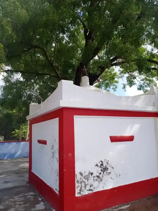 Arulmigu Vethalamman Temple, Manadu Thandapathu - 628209 அருள்மிகு வேதாளம்மன் திருக்கோயில், Manadu Thandapathu - 628209, Thoothukudi - Ancient Temple Architecture and History Image 3