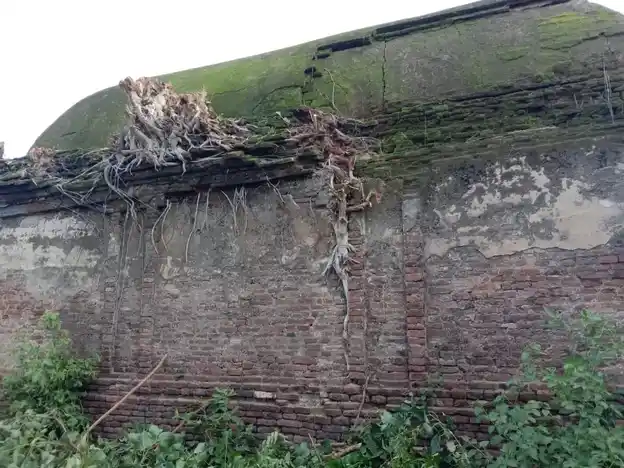 Arulmigu Vethpureeswarar Temple, Thiriuvethikkudi - 613202 அருள்மிகு வேதபுரீஸ்வரர் சுவாமி திருக்கோயில், Thiriuvethikkudi - 613202, Thanjavur - Ancient Temple Architecture and History Image 10