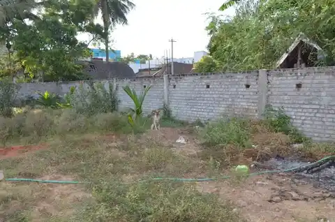 Arulmigu Vettai Vengatraya Perumal Temple, Melpattampakkam - 607104 அருள்மிகு வேட்டவெங்கட்ராயா பெருமாள் திருக்கோயில், Melpattampakkam - 607104, Cuddalore - Ancient Temple Architecture and History Image 3