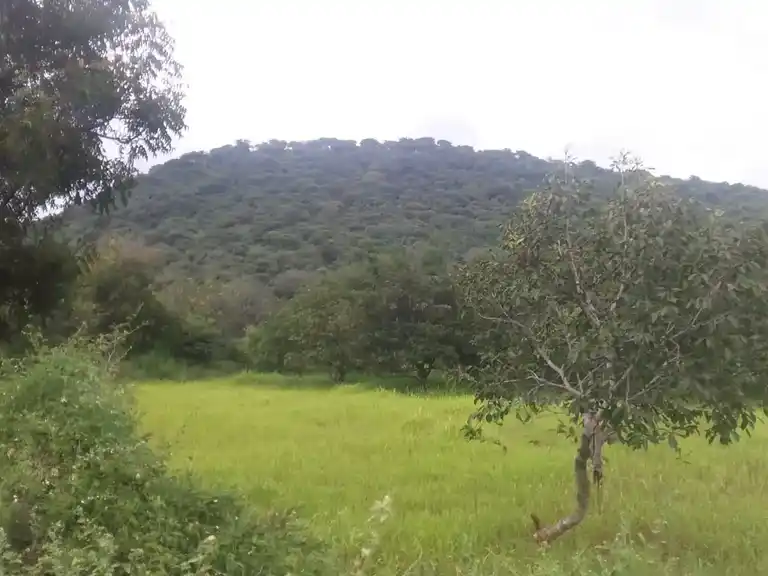Arulmigu Vettaikaran Temple, Valayapatti - 625022