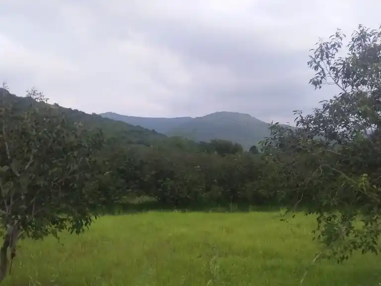 Arulmigu Vettaikaran Temple, Valayapatti - 625022 அருள்மிகு வேட்டைகாரசுவாமி திருக்கோயில், Valayapatti - 625022, Madurai - Ancient Temple Architecture and History Image 2