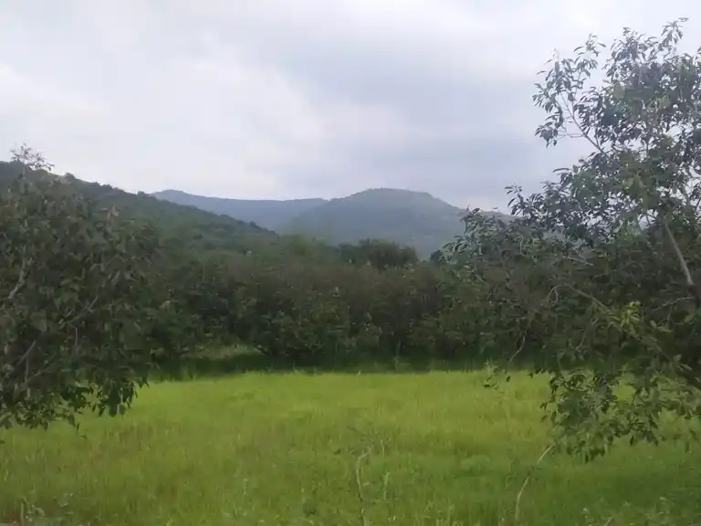 Arulmigu Vettaikaran Temple, Valayapatti - 625022 அருள்மிகு வேட்டைகாரசுவாமி திருக்கோயில், Valayapatti - 625022, Madurai - Ancient Temple Architecture and History Image 3