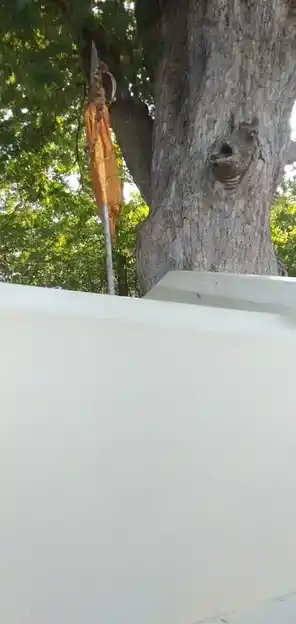 Arulmigu Vettikkaruppar Temple, Annavasal - 622101 அருள்மிகு வெட்டிக்கருப்பர் திருக்கோயில், Annavasal - 622101, Pudukkottai - Ancient Temple Architecture and History Image 3