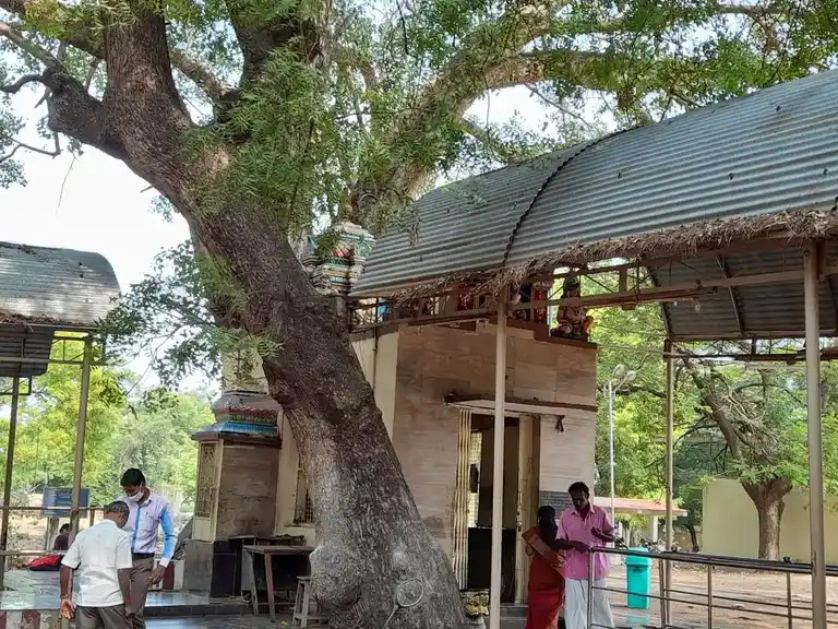 Arulmigu Vettri Vinayagar Temple, Kokkirakulam, Palayamkottai - 627002 அருள்மிகு வெற்றி விநாயகர் திருக்கோயில், Kokkirakulam, Palayamkottai - 627002, Tirunelveli - Ancient Temple Architecture and History Image 3