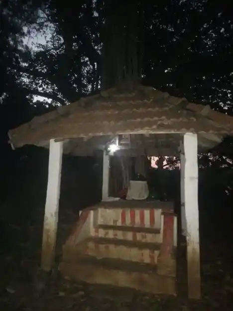 Arulmigu Vettudaiya Ayyanar Temple, Kadampankulam - 630554