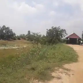 Arulmigu Vidankeswarar Temple, Keelathur, Alangudi Taluk - 622302 அருள்மிகு விடங்கேஸ்வரர் திருக்கோயில், கீழாத்தூர், ஆலங்குடி வட்டம் - 622302, Pudukkottai - Ancient Temple Architecture and History Image 7