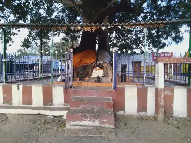 Arulmigu Viganaewarar Temple, Mathur - 638501 Temple