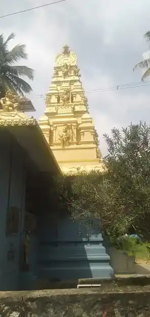 Arulmigu Vigna Vinayagar Pillayar Temple, Near Library, Sakkiancodu - 629805 அருள்மிகு விக்னவிநாயகர் பிள்ளையார் திருக்கோயில், Near Library, Sakkiancodu - 629805, Kanyakumari - Ancient Temple Architecture and History Image 4