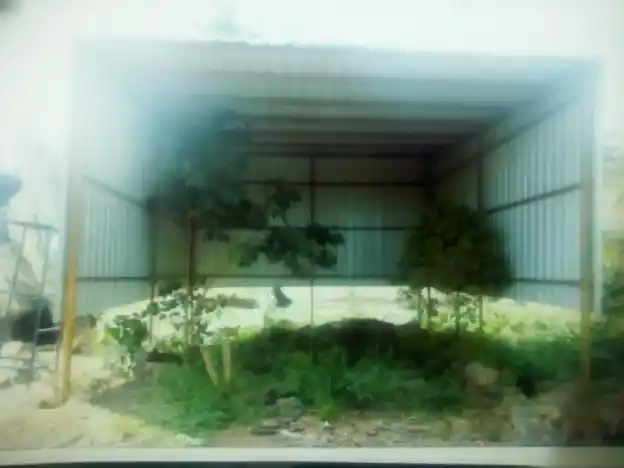 Arulmigu Vignaswara Bajani (A) Palayaperumal Temple, Thliyur - 641107 அருள்மிகு பழையபெருமாள் திருக்கோயில், Thliyur - 641107, Coimbatore - Ancient Temple Architecture and History Image 3