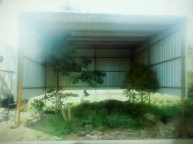 Arulmigu Vignaswara Bajani (A) Palayaperumal Temple, Thliyur - 641107 அருள்மிகு பழையபெருமாள் திருக்கோயில், Thliyur - 641107, Coimbatore - Ancient Temple Architecture and History Image 4