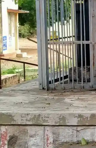 Arulmigu Vigneshwarar Temple, Pudur - 624614 அருள்மிகுவிக்னேஷ்வரர் திருக்கோயில், Pudur - 624614, Dindigul - Ancient Temple Architecture and History Image 4