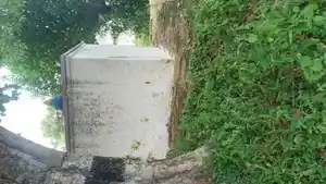 Arulmigu Vigneswarar Temple, Virumandampalayam - 638812 Arulmigu Vigneswarar Temple, Virumandampalayam - 638812, Tiruppur - Ancient Temple Architecture and History Image 4