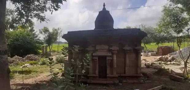 Arulmigu Vijavidangesvarar Temple, Karuppoor - 613101 அருள்மிகு விஜயவிடங்கேஸ்வரர் திருக்கோயில், Karuppoor - 613101, Thanjavur - Ancient Temple Architecture and History Image 6