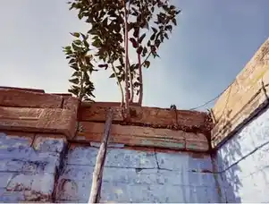 Arulmigu Vijayagirivelayuthasamy Temple, Seenapuram - 638052 Arulmigu Vijayagirivelayuthasamy Temple, சீனாபுரம் - 638052, Erode - Ancient Temple Architecture and History Image 9