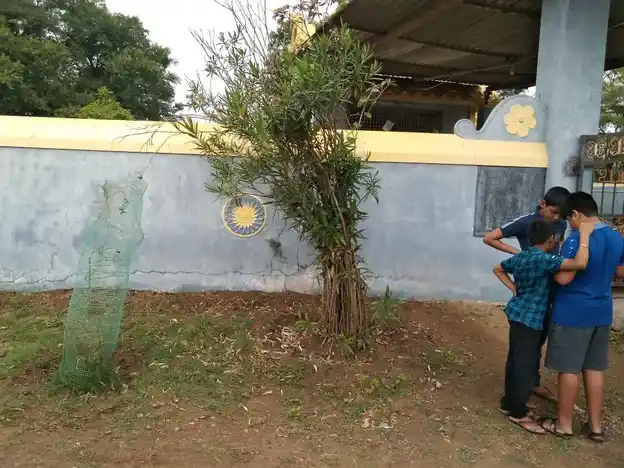 Arulmigu Vijayalingaeswrar Temple, Painkiner - 604407 அருள்மிகு விஜயலிங்கேஸ்வரர் திருக்கோயில், Painkiner - 604407, Tiruvannamalai - Ancient Temple Architecture and History Image 3