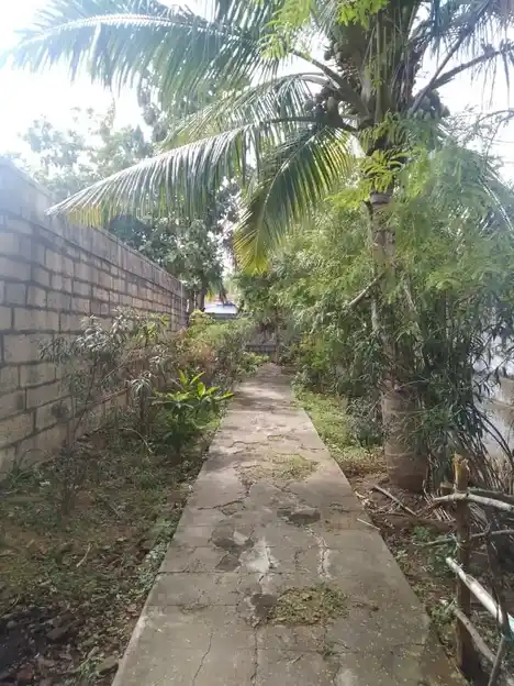 Arulmigu Vikarmapandeeswarar Temple, Veeravanallur - 627426 அருள்மிகு விக்கிரமபாண்டீஸ்வரர் திருக்கோயில், Veeravanallur - 627426, Tirunelveli - Ancient Temple Architecture and History Image 7