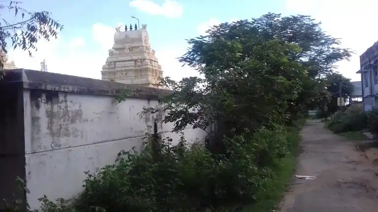 Arulmigu Vikramapandeeswarar Temple, Cholapuram - 626139 அருள்மிகு விக்கிரமபாண்டீஸ்வரர் திருக்கோயில், சோழபுரம் - 626139, Virudhunagar - Ancient Temple Architecture and History Image 2