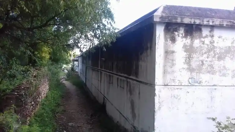 Arulmigu Vikramapandeeswarar Temple, Cholapuram - 626139 அருள்மிகு விக்கிரமபாண்டீஸ்வரர் திருக்கோயில், சோழபுரம் - 626139, Virudhunagar - Ancient Temple Architecture and History Image 4