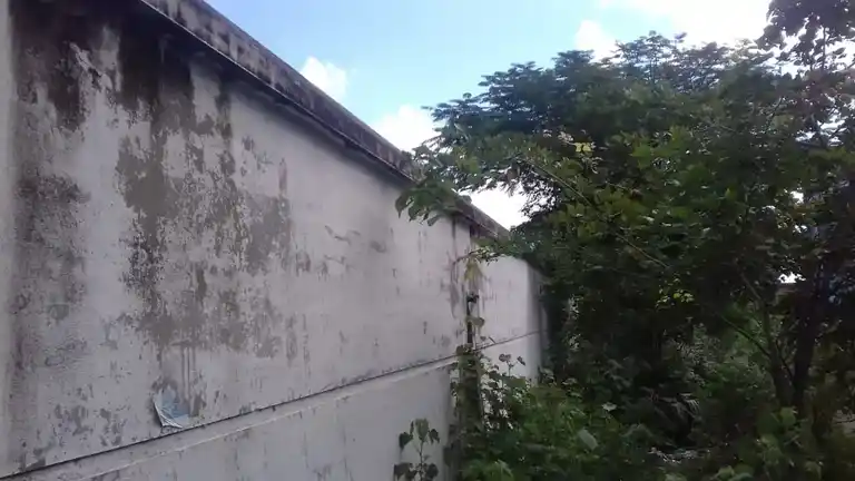 Arulmigu Vikramapandeeswarar Temple, Cholapuram - 626139 அருள்மிகு விக்கிரமபாண்டீஸ்வரர் திருக்கோயில், சோழபுரம் - 626139, Virudhunagar - Ancient Temple Architecture and History Image 5