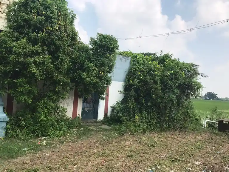 Arulmigu Vilangeeswarar Temple, Centre Of The Village, Vadakkunallur - 601204