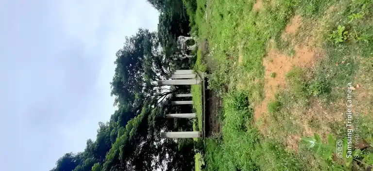 Arulmigu Villiyandavar Temple, Neivasal - 609807