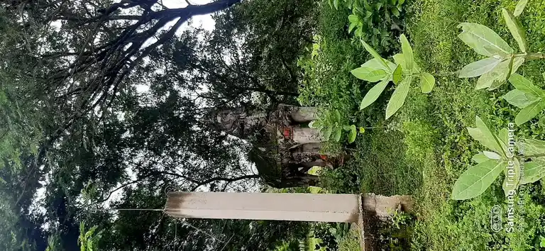 Arulmigu Villiyandavar Temple, Neivasal - 609807 அருள்மிகு வில்லியாண்டவர் திருக்கோயில், Neivasal - 609807, Thanjavur - Ancient Temple Architecture and History Image 3