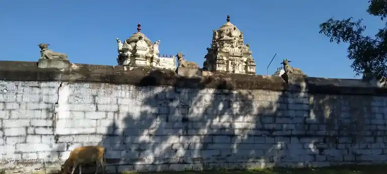 Arulmigu Villvaneswarar Temple, Mani Muthu Aaru, Nallur - 606302 அருள்மிகு வில்வவனேஸ்வரர் திருக்கோயில், மணிமுத்தாறு, நல்லூர் - 606302, Cuddalore - Ancient Temple Architecture and History Image 3